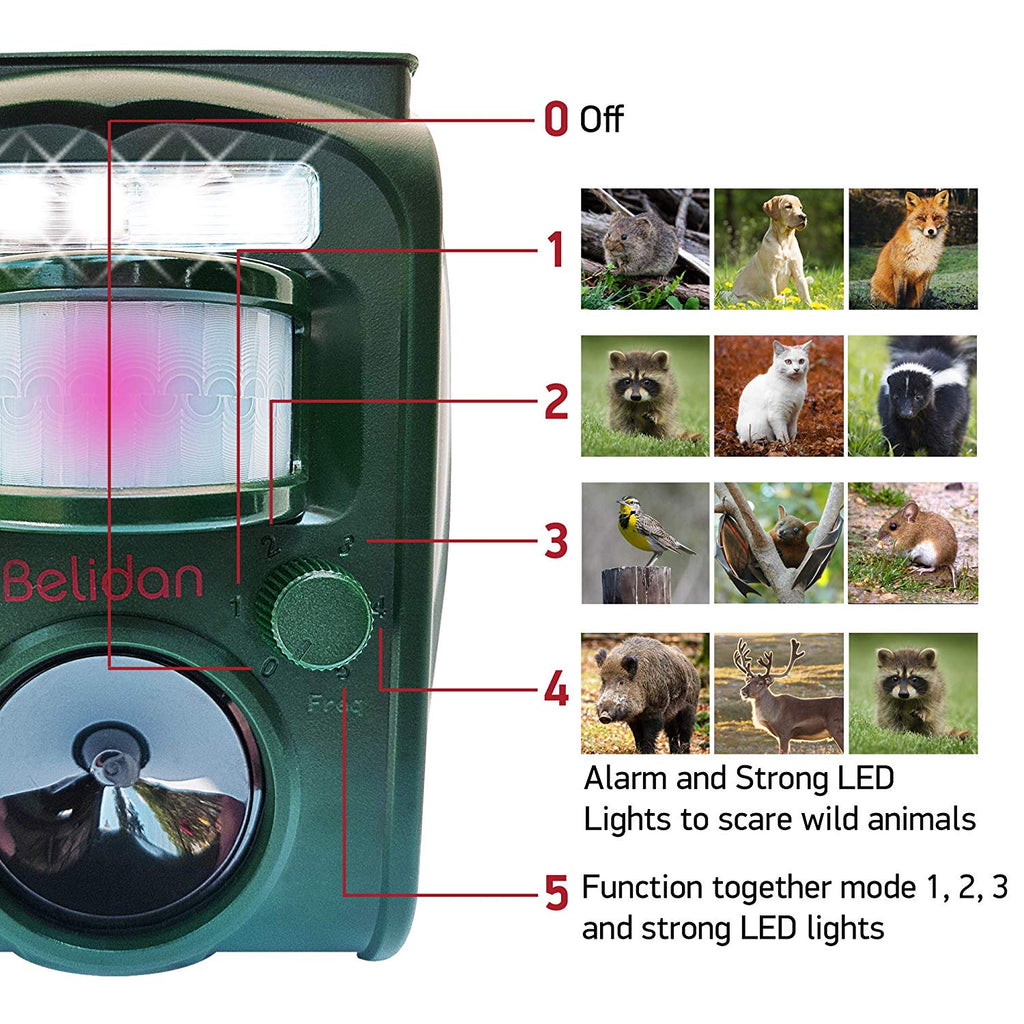 Animal Repellent Ultrasonic Outdoor Animal Repeller - Dog Rats Raccoon Skunk Mice Cat Repellent Motion Sensor, Alarm, LED Lights